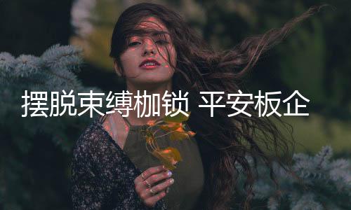 平安而不是业迎外部的劣势