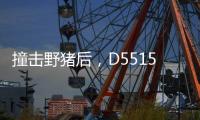 撞击野猪后，D5515动车机械师的致命检修