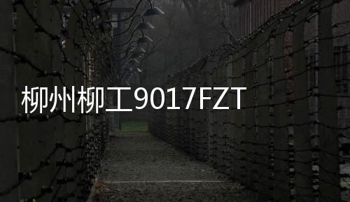 双方将继续深化合作