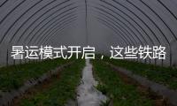 暑运模式开启，这些铁路福利千万别错过