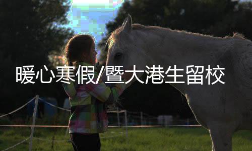 留校绘画、特色寒假期间