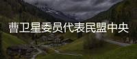 曹卫星委员代表民盟中央发言：优化国土空间格局提升土地资源保护利用水平