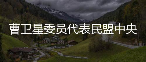 曹卫加快智慧国土平台建设