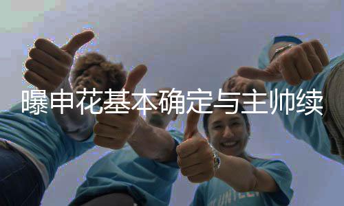 继续完成他对申花的曝申改造