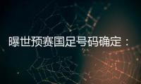 曝世预赛国足号码确定
：艾克森11号 武磊7号