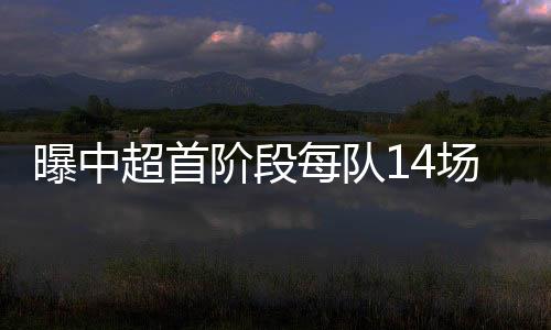 每支球队有14场比赛
