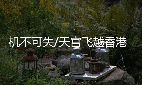 可失宜提前选择视野良好区域