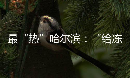 人口老龄化严重出名