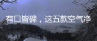 有口皆碑，这五款空气净化器品牌是夏季最好的选择