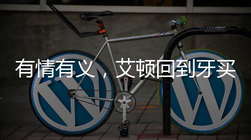 ”在今年自由市场开启后