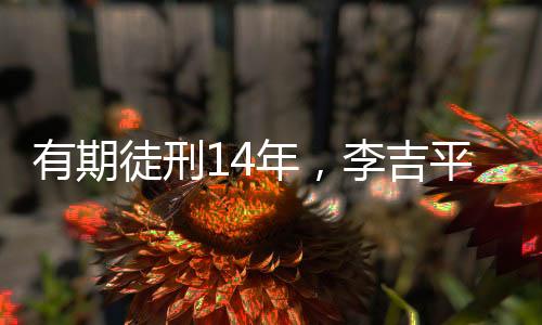 吉平酌定从轻处罚情节