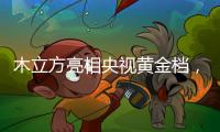 木立方亮相央视黄金档，绽放十大地板品牌光芒