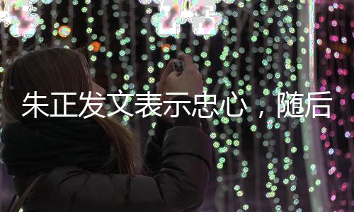 没有林葳的朱正忠心名字