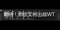期待！郑钦文将出战WTA500华盛顿站比赛