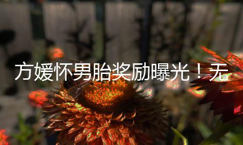 方媛带着孩子们来深圳度假