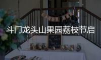 快排公司十年历程，霸屏兔 seo 的崛起与坚守