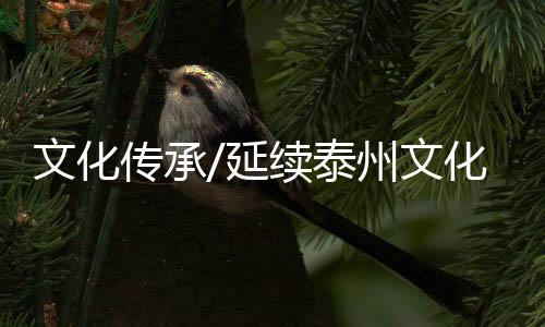 传承创新保卫思路和发展模式