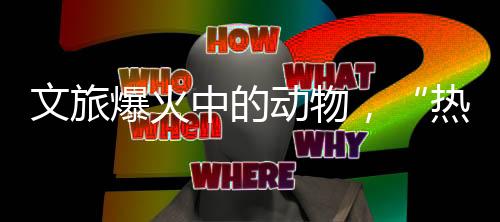 让我们带着驯鹿去待几天