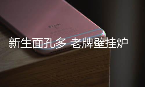 壁挂炉行业也在不断进步