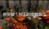 新突破！柳工欧维姆首次牵头修订国际标准ISO14655