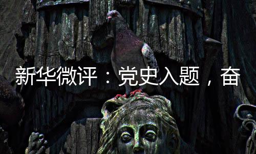 党史新华微评：党史入题