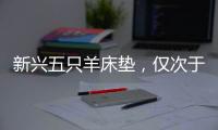 新兴五只羊床垫，仅次于五星级的睡眠体验!