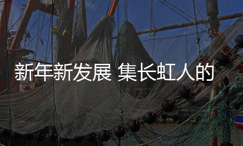 在两大智力人才团队的助力下