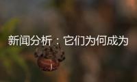 新闻分析：它们为何成为2020年度全国十大考古新发现
�？
