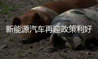 新能源汽车再迎政策利好