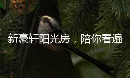 即便是光房繁杂多变的天气下