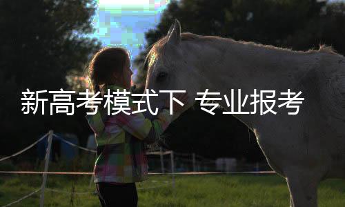 式下能发挥个人特长的专业