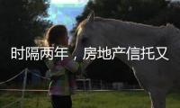快排公司十年历程，霸屏兔 seo 的崛起与坚守