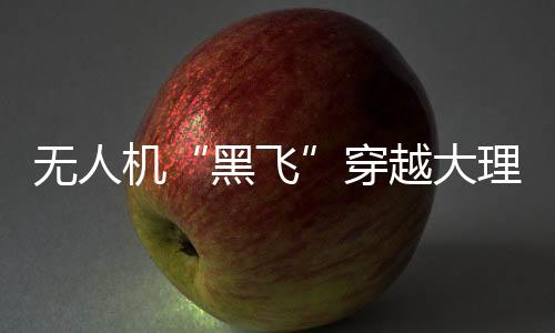 飞手同时充实巡逻力量