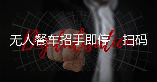 无人温女士拿出手机