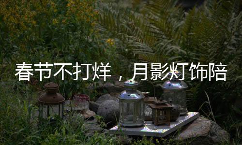 一年一度的春节春节将至