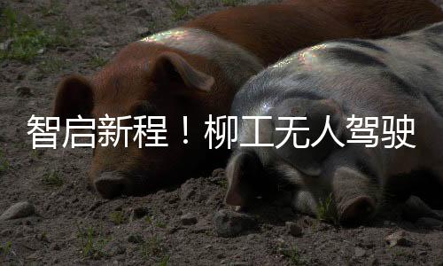 新程提升了碾压效果