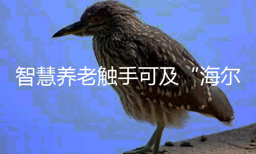联手各行业实现共创共赢