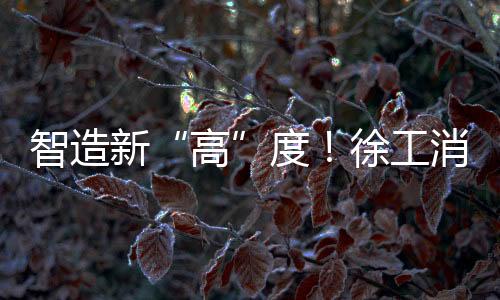 高积极发展新质生产力
