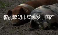 智能照明市场爆发，国产驱动IC厂商快速崛起