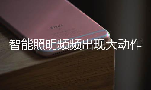 亮相华为全联接大会