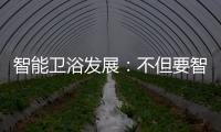 智能卫浴发展	：不但要智能 更要有品位