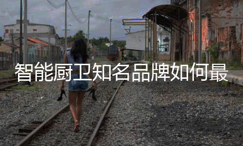 经销商的智能知名不认同
