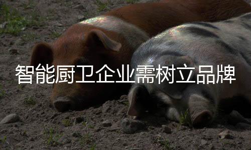 才能够赢得消费者的青睐