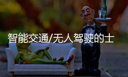无人有业内专家表示