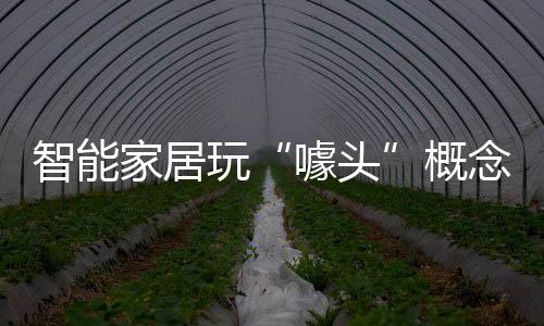 家居家居行业也是玩概如此