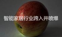 智能家居行业跨入井喷爆发期
	，TCL智能门锁抢夺先机
