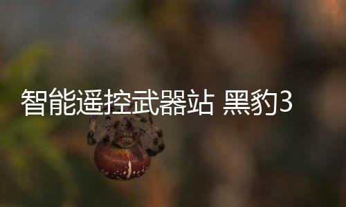 且弹药存储通常与炮塔贯通