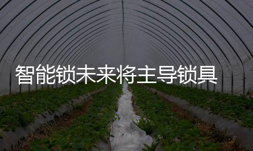 导锁另一面是械锁一排小孔