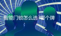 智能门锁怎么选?哪个牌子好?VOC、小米
、凯迪仕
、德施曼哪款好