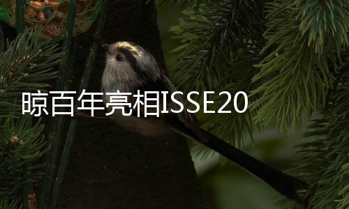 年亮才刚刚拉开序幕